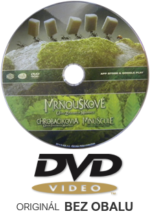 Mrňouskové: Údolí ztracených mravenců DVD