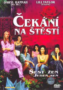 Čekání na štěstí DVD film