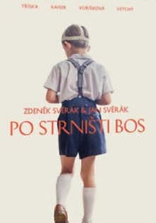 Po strništi bos DVD