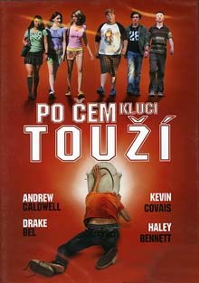 Po čem kluci touží DVD