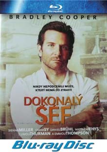 Dokonalý šéf BD