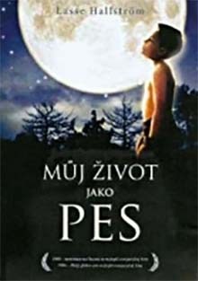 Můj život jako pes DVD