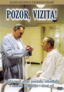 Pozor, vizita! DVD
