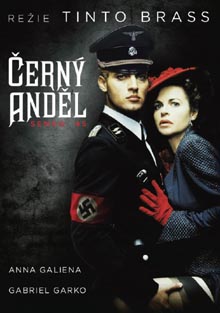 Černý anděl DVD
