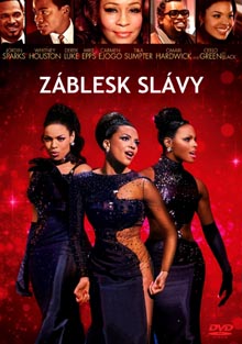 Záblesk slávy DVD